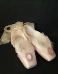 Pointe shoes for decorating