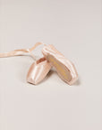 Souvenir Pointe Shoe