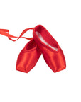 Souvenir Pointe Shoe
