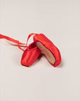 Souvenir Pointe Shoe