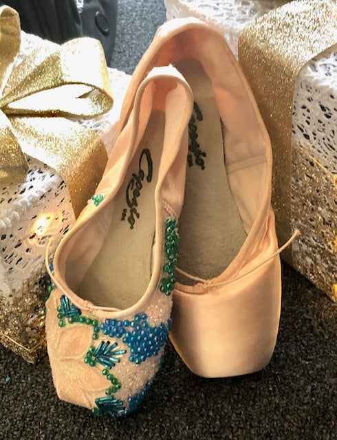 Pointe shoes for decorating