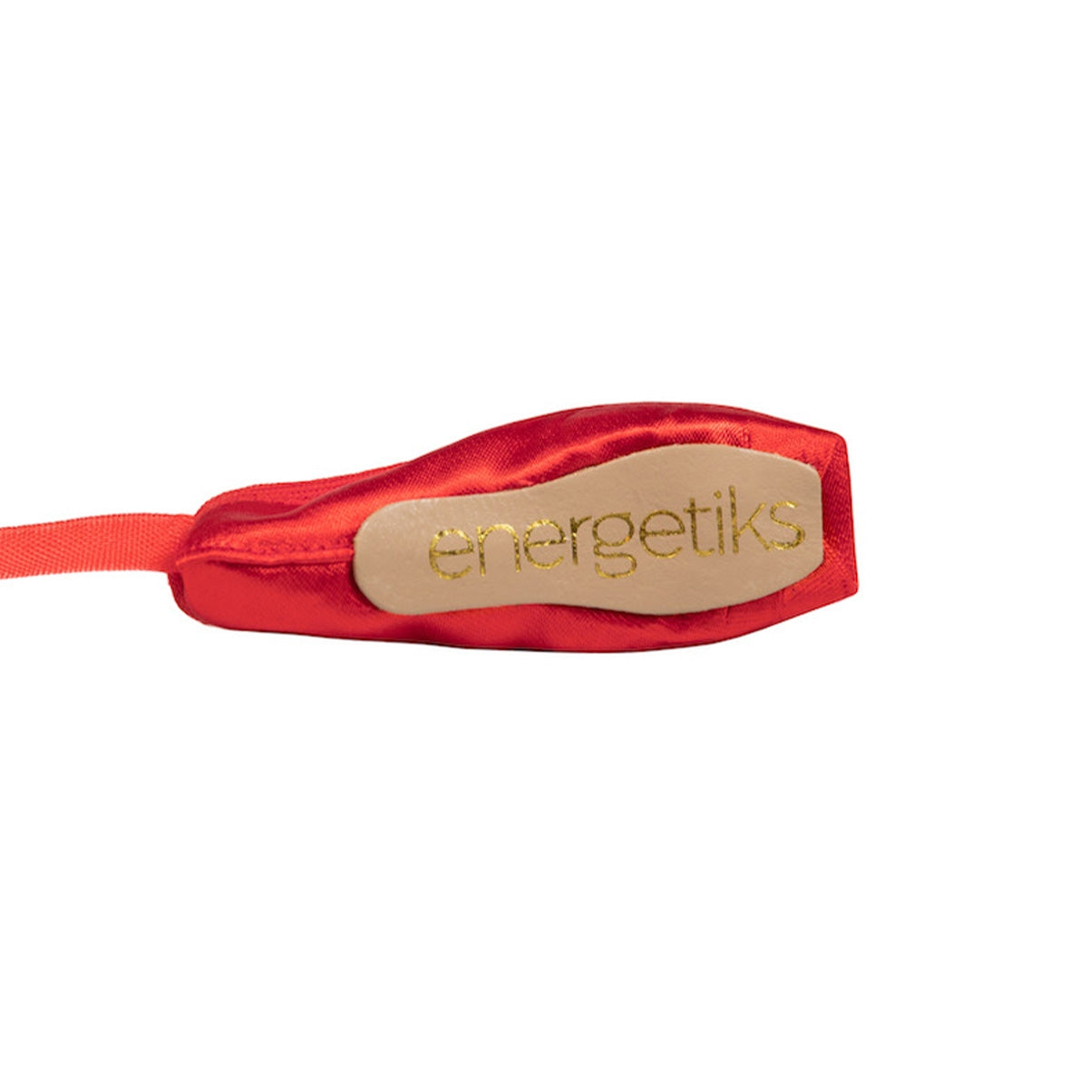 Souvenir Pointe Shoe